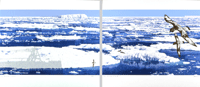 Antarctic Circle I & II