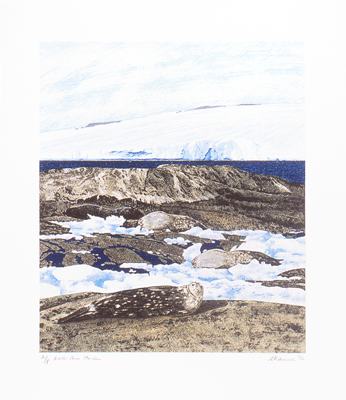 East Arm Mawson