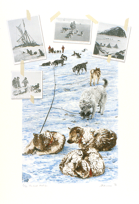 The Last Huskies