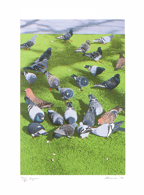 Pigeons